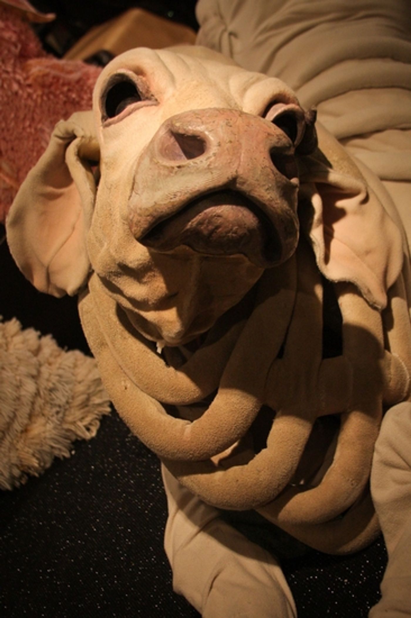 Photo Coverage: Curtain Call: Women Designing for Live Performance Photo Coverage: Curtain Call: Women Designing for Live Performance Image