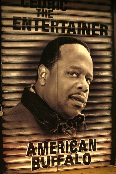 Cedric The Entertainer Photo