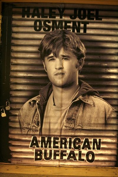 Haley Joel Osment Photo