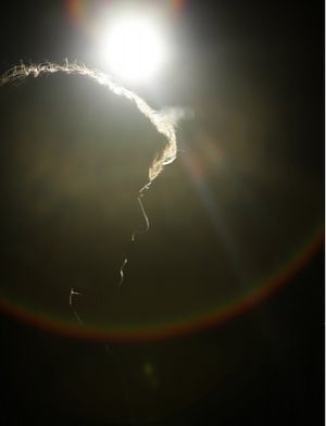 Haley Joel Osment Photo