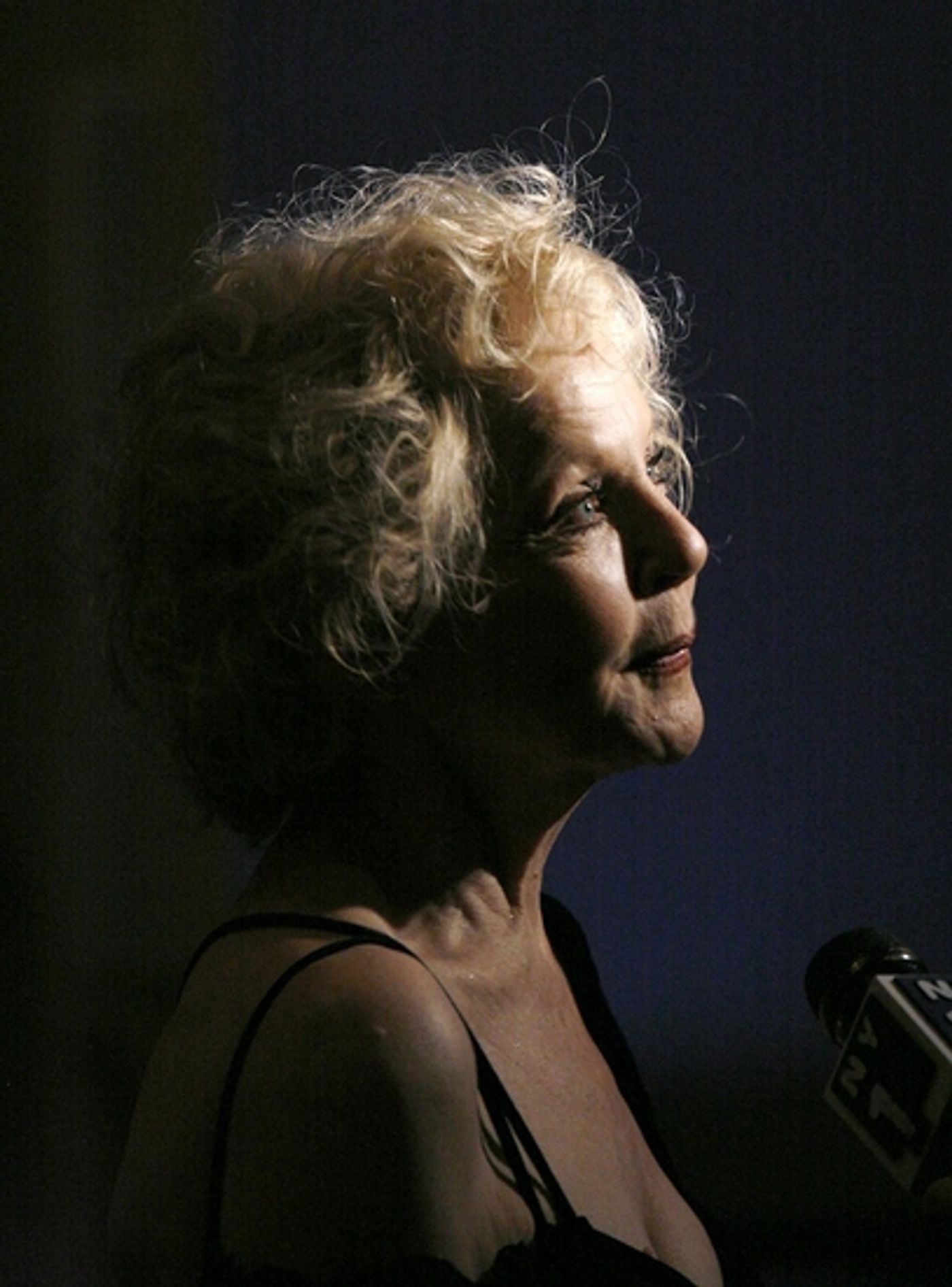 Photo Coverage: DIVIDING THE ESTATE After Party  Image