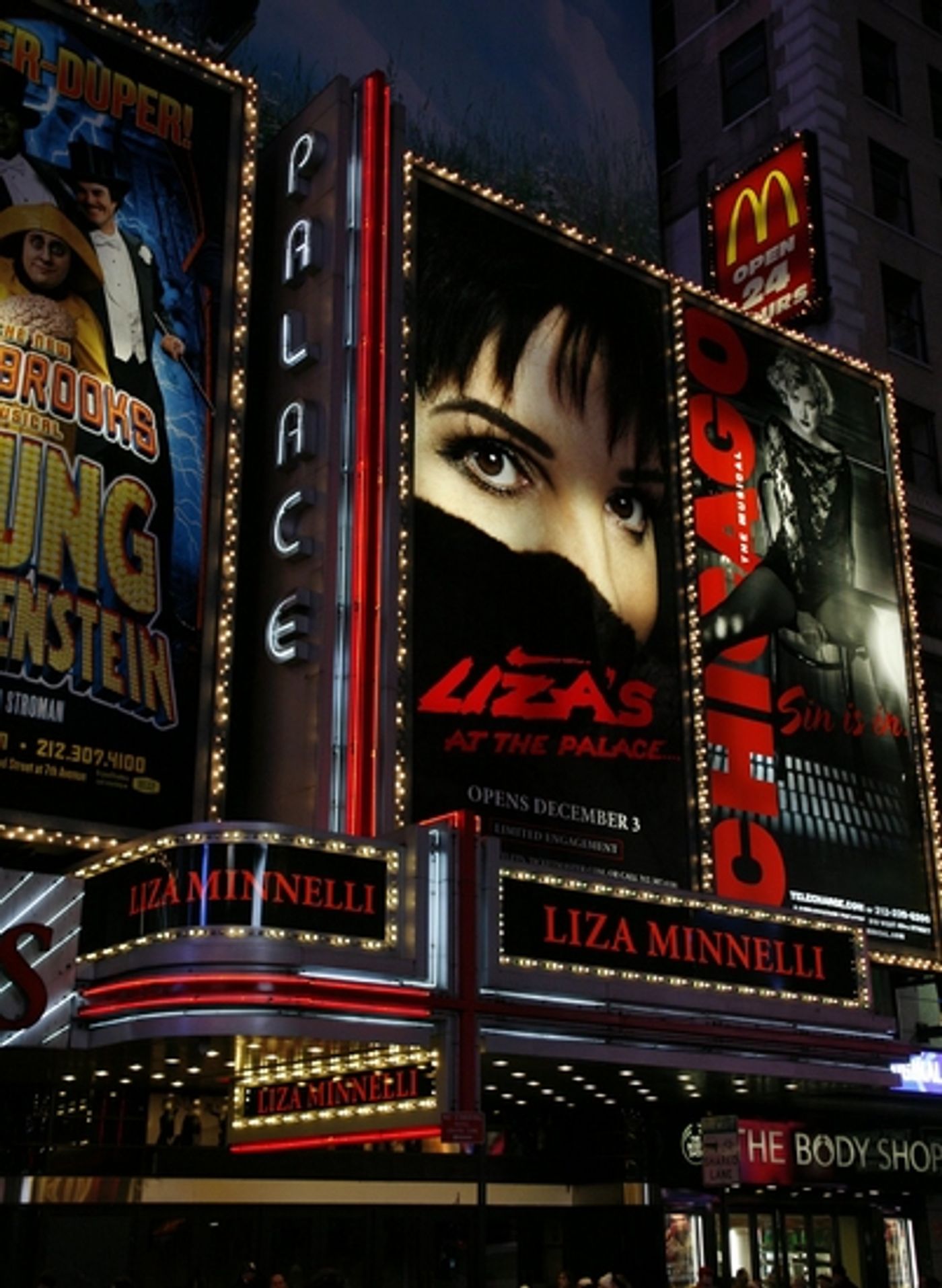 Photo Coverage: 'LIZA'S AT THE PALACE...!' Marquee Unveiled  Image