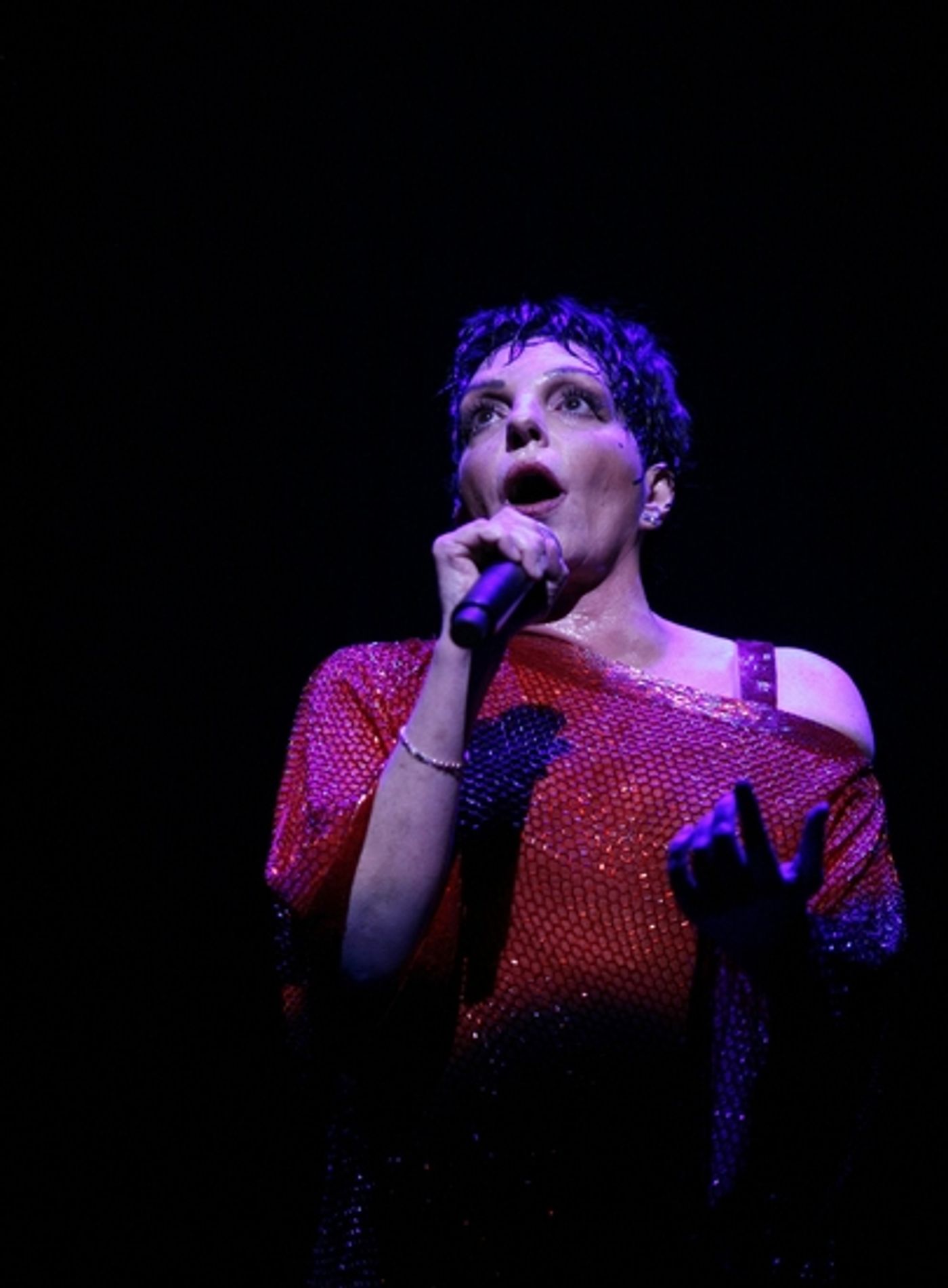 Photo Coverage: LIZA'S AT THE PALACE...! Curtain Call  Image