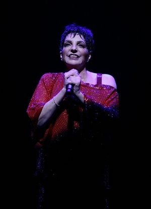 Liza Minnelli Photo
