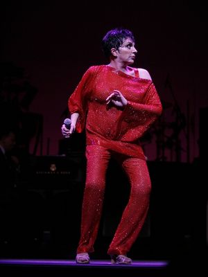 Liza Minnelli Photo