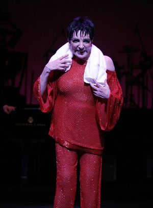 Liza Minnelli Photo