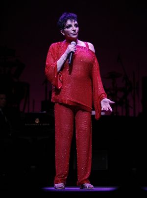 Liza Minnelli Photo