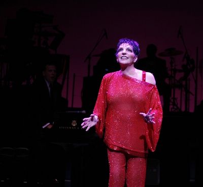 Liza Minnelli Photo