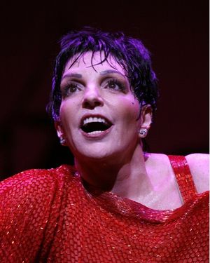 Liza Minnelli Photo