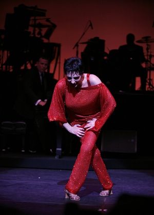 Liza Minnelli Photo