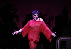 Liza Minnelli Photo