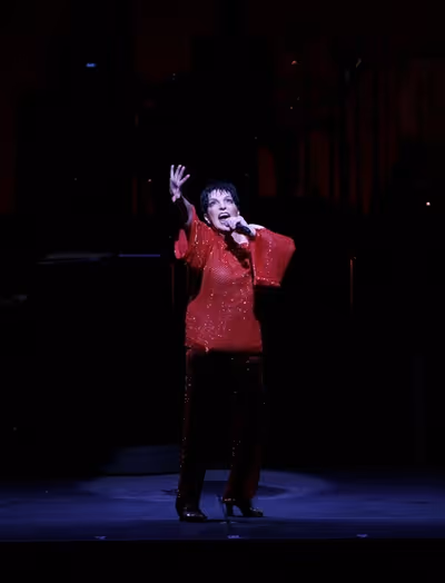 Liza Minnelli Photo