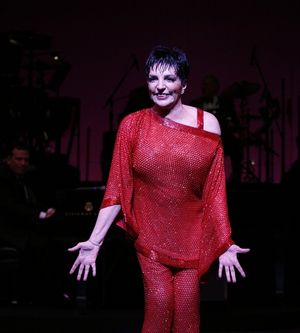 Liza Minnelli Photo