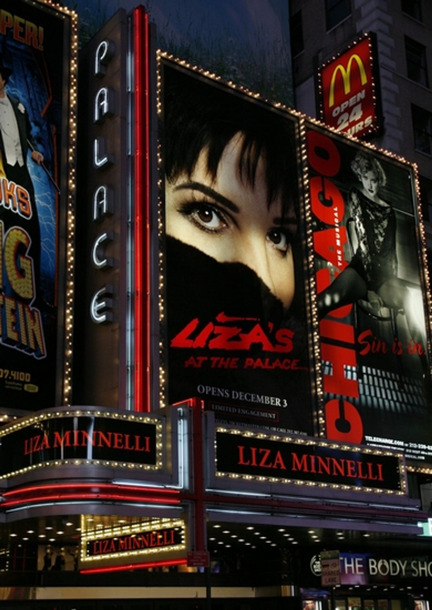 Photo Coverage: LIZA'S AT THE PALACE...! Arrivals  Image