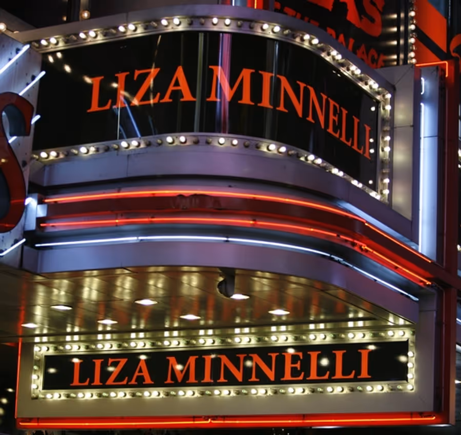 Photo Coverage: LIZA'S AT THE PALACE...! Arrivals Image
