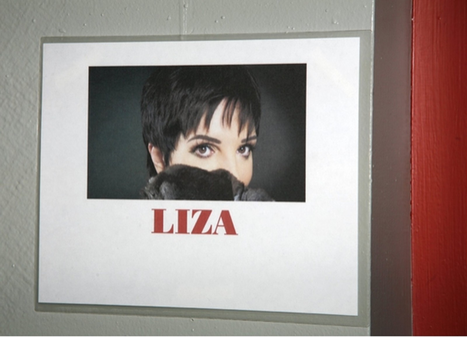Photo EXCLUSIVE: LIZA'S AT THE PALACE...! After Party — photo 1 of 48
