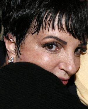 Liza Minnelli Photo