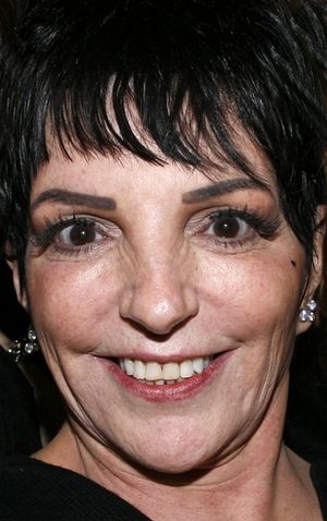 Liza Minnelli Photo