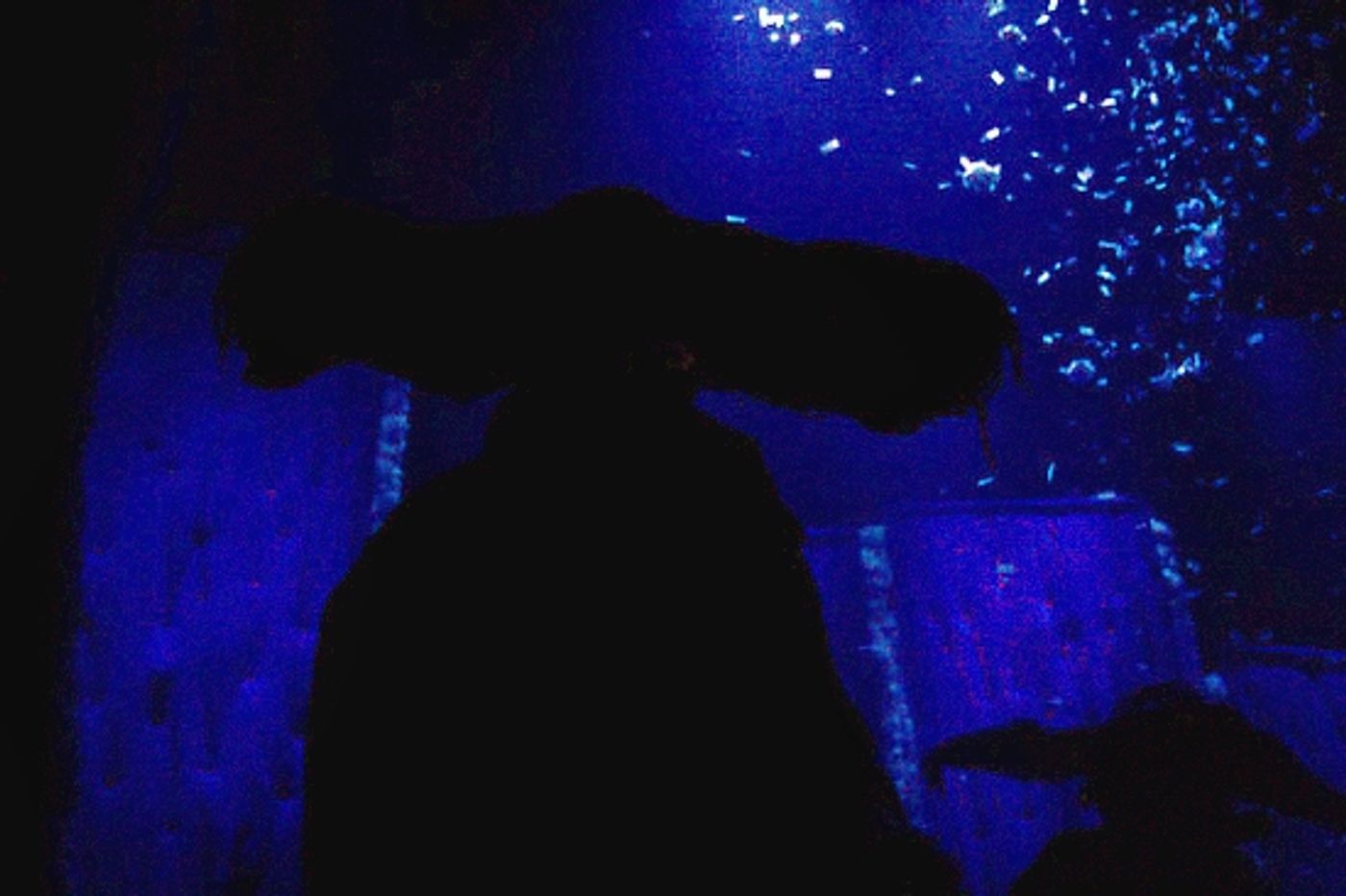 Photo Coverage: SLAVA'S SNOW SHOW Opening Night  Image