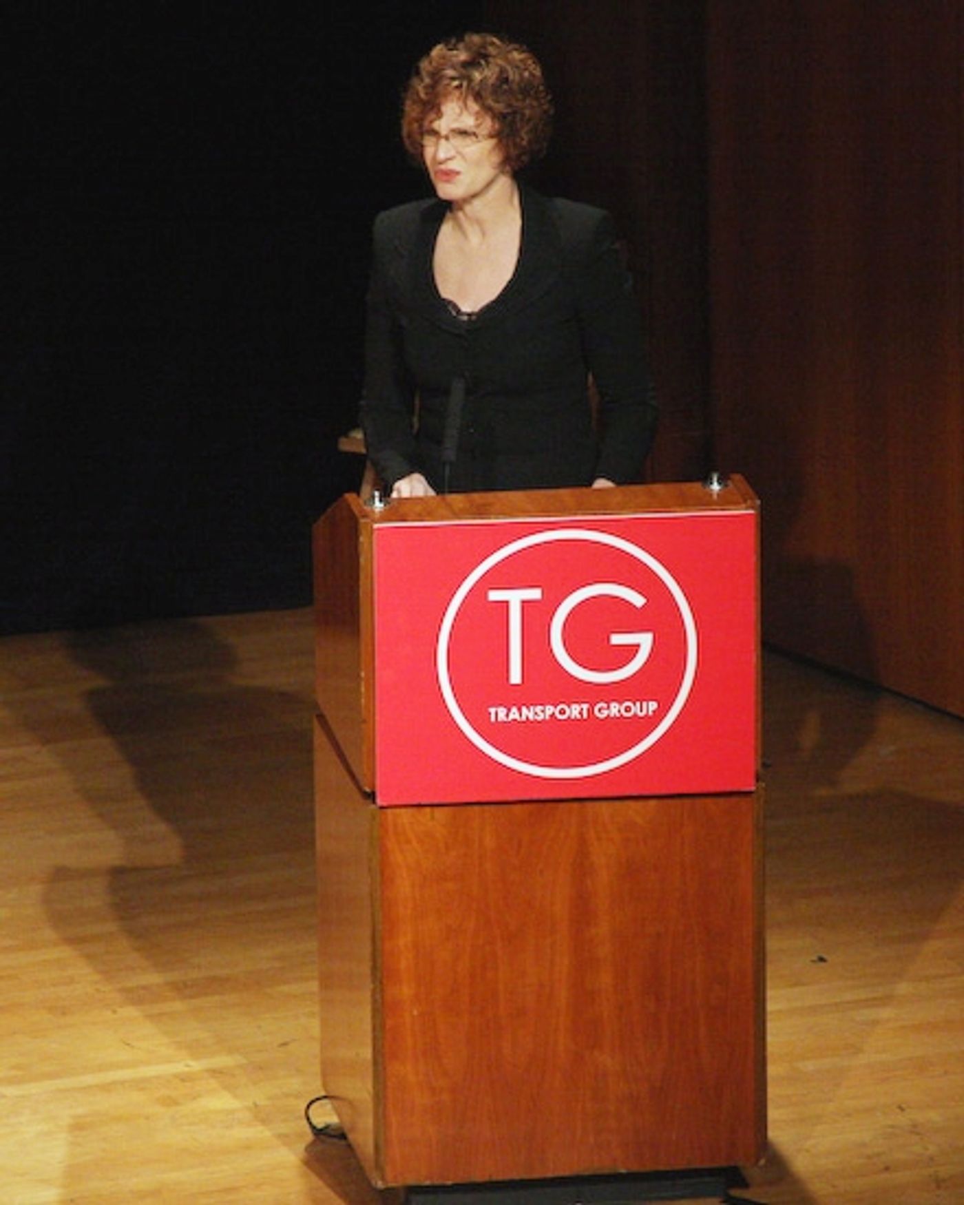 Photo Coverage: Transport Group Honors Gala  Image