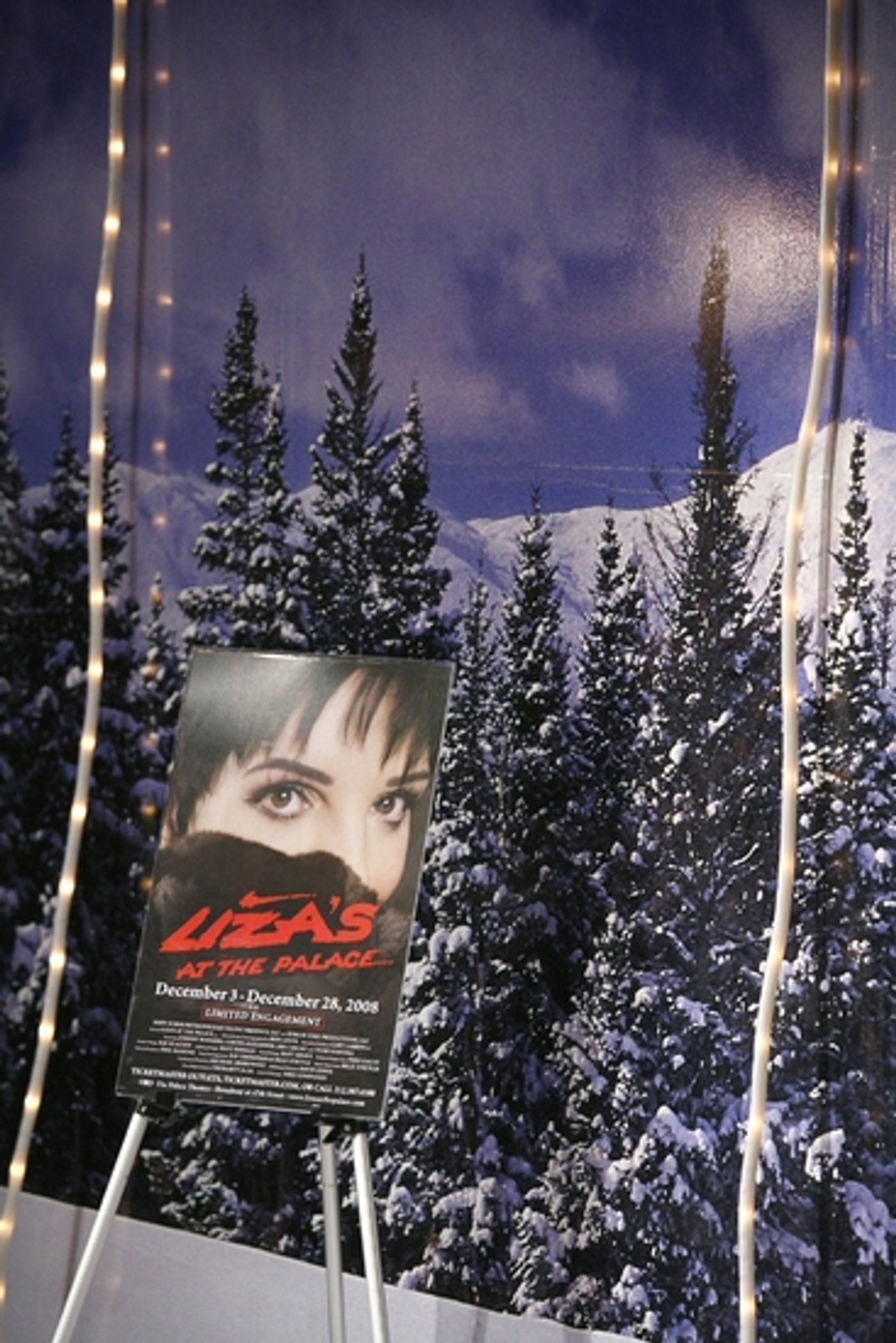 Photo Coverage: Liza Minnelli 'Pedals for Power' for BC/EFA  Image