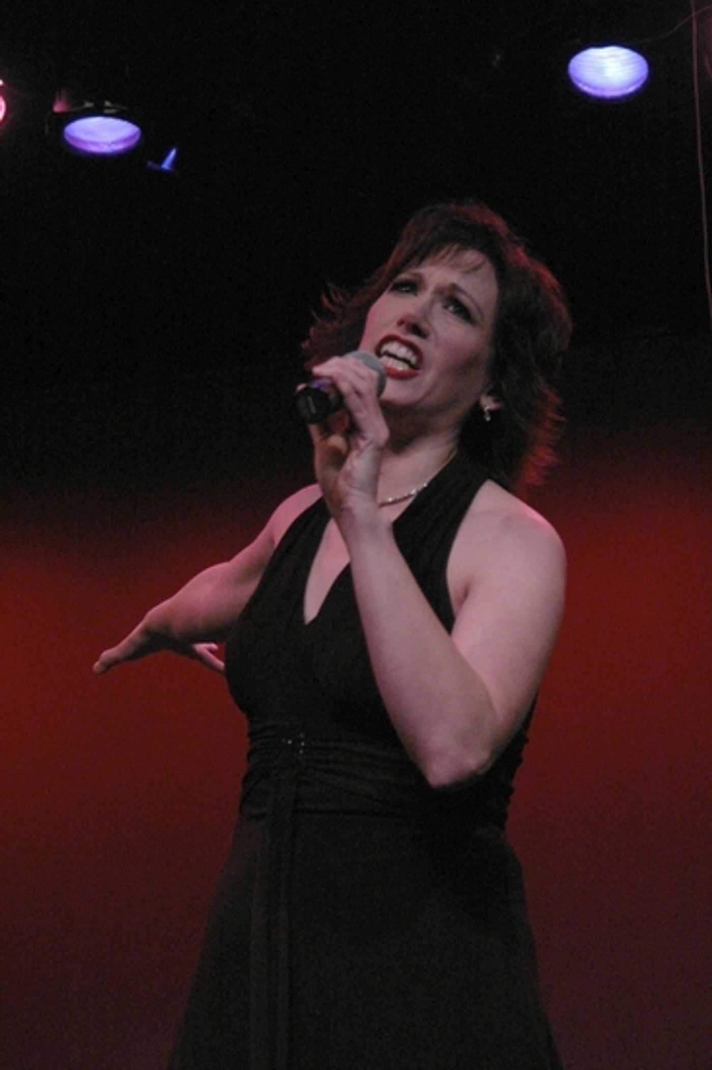 Photo Coverage: Irvington's All Star Broadway Holiday Concert  Image