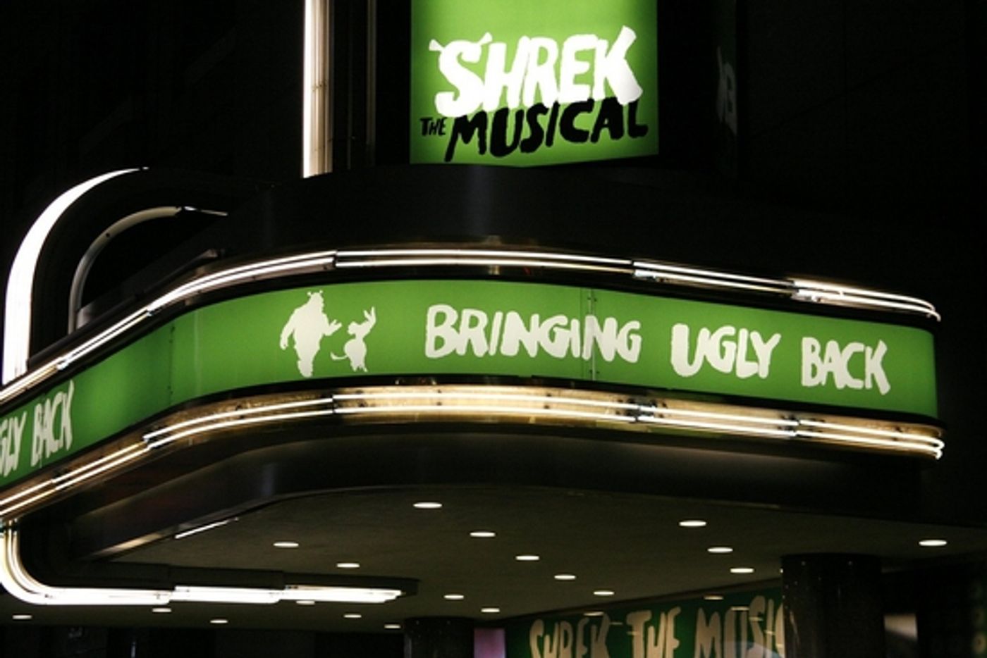Photo Coverage: SHREK The Musical Opening Night Arrivals  Image