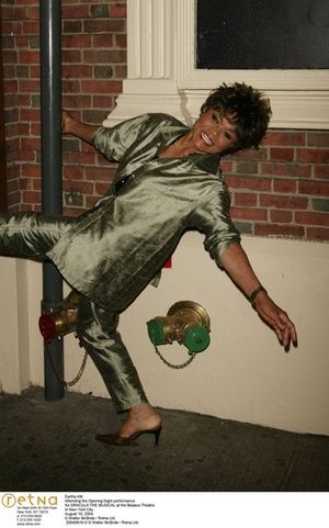 @ BroadwayWorld Photo