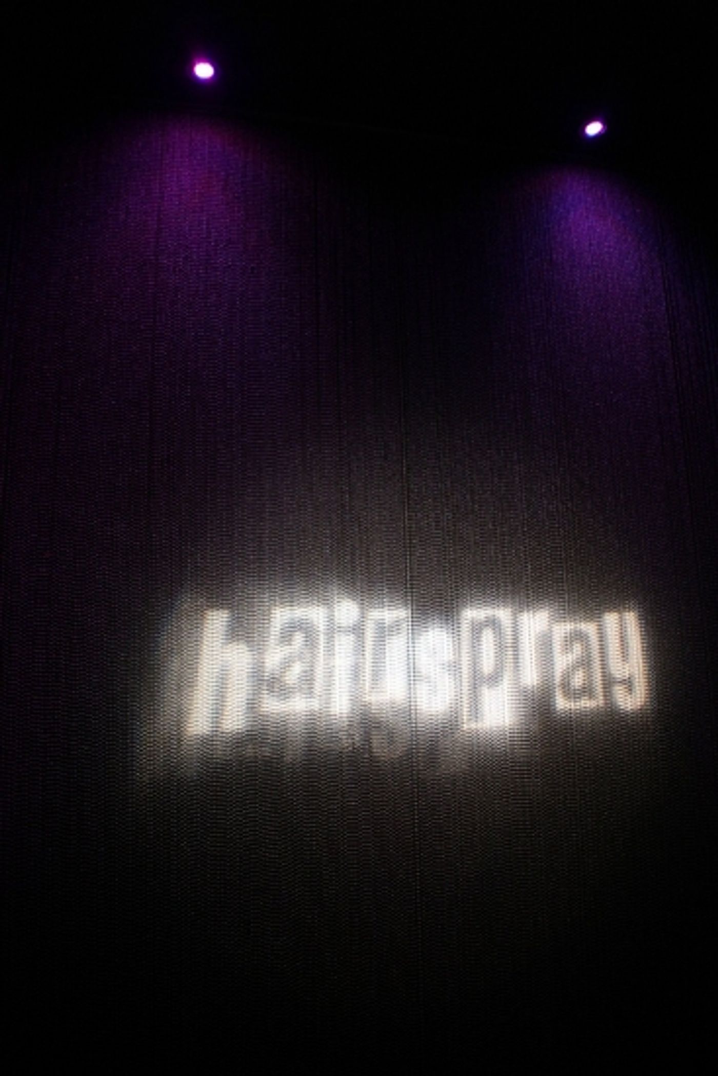 Photo Coverage: 'HAIRSPRAY' Closing Night Party  Image