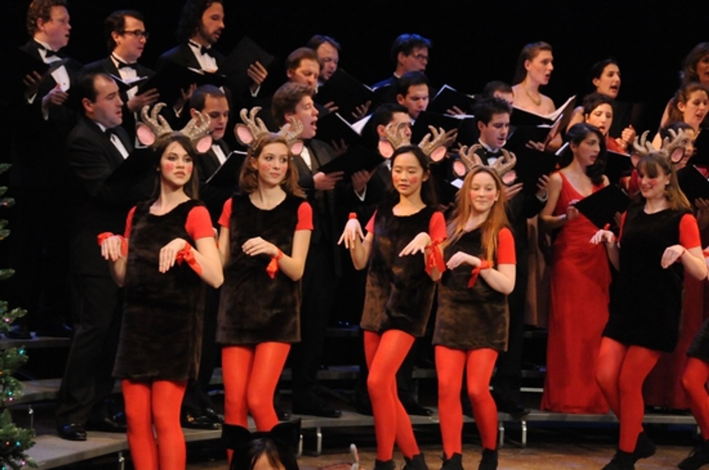 Photo Flash: Dicapo Opera Theatre's YULETIDE CLASSICS  Image