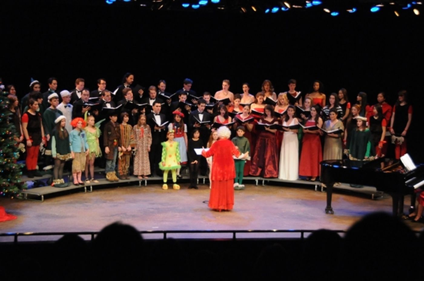 Photo Flash: Dicapo Opera Theatre's YULETIDE CLASSICS  Image