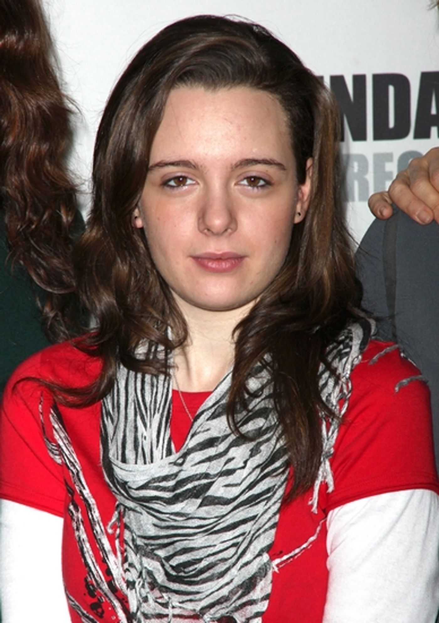 Photo Coverage: Roundabout's DISTRACTED Meets the Press  Image