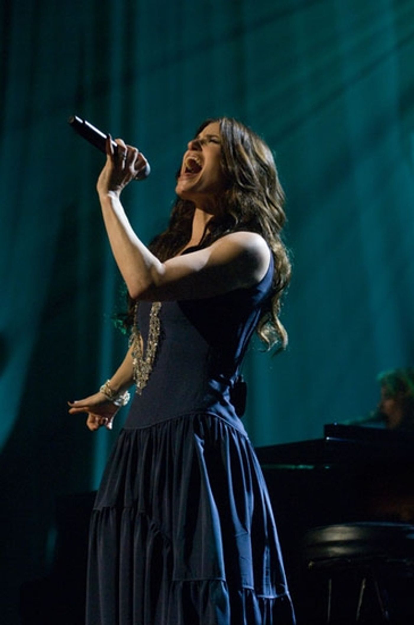 Photo Flash: Idina Menzel in Concert on PBS  Image