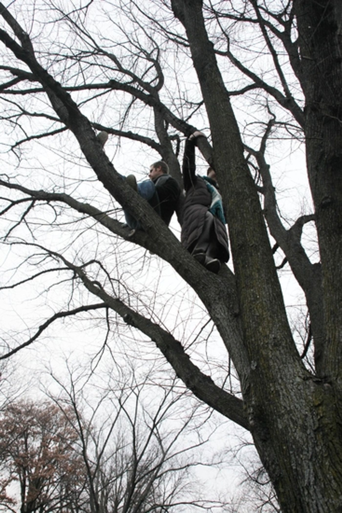 Photo Essay: 'WE ARE ONE: The Obama Inaugural Celebration Concert' Photo Essay: 'WE ARE ONE: The Obama Inaugural Celebration Concert' Image