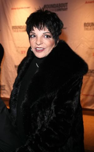 Liza Minnelli Photo
