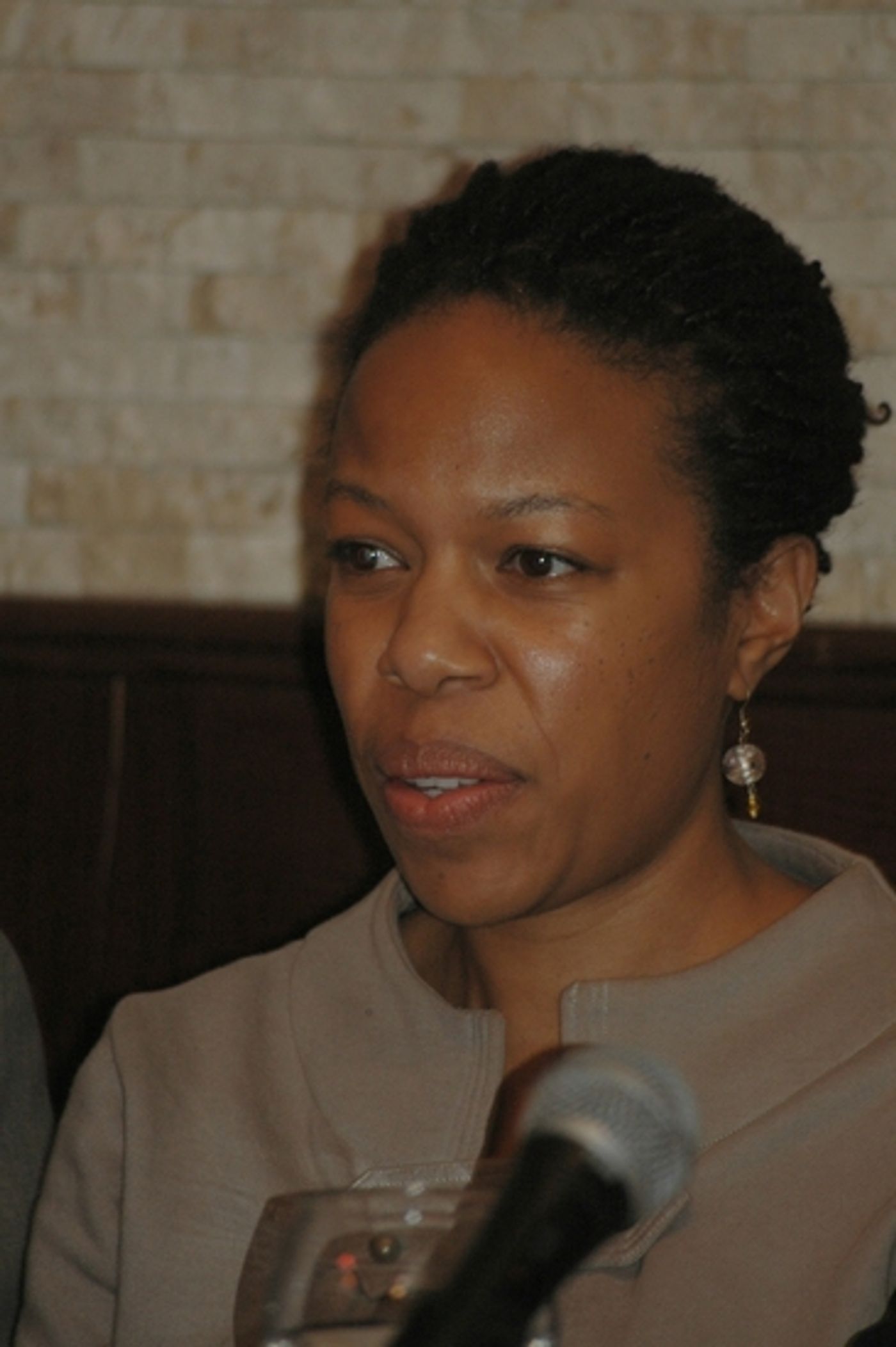 Photo Coverage: Drama Desk Panel Discussion  Image