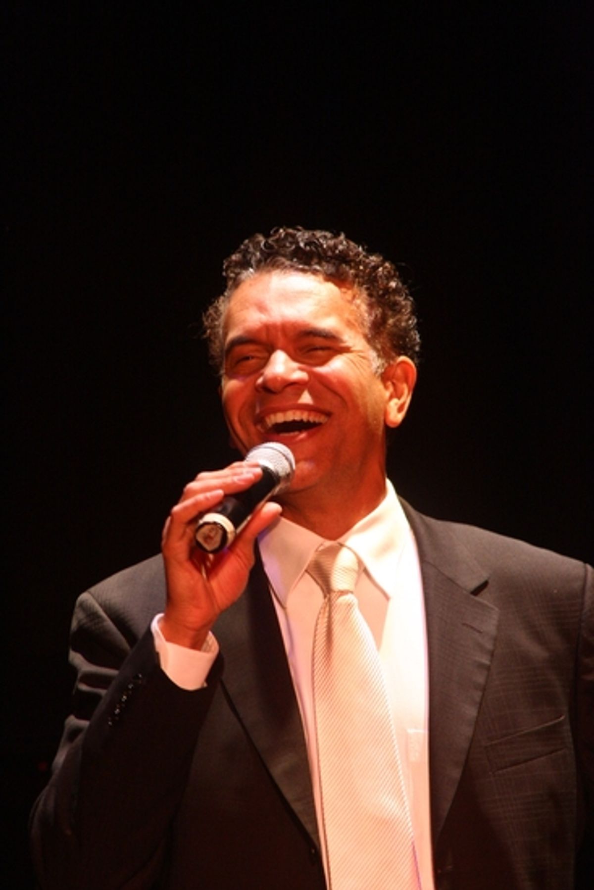 Brian Stokes Mitchell at Brian Stokes Mitchell At The Landmark Gala