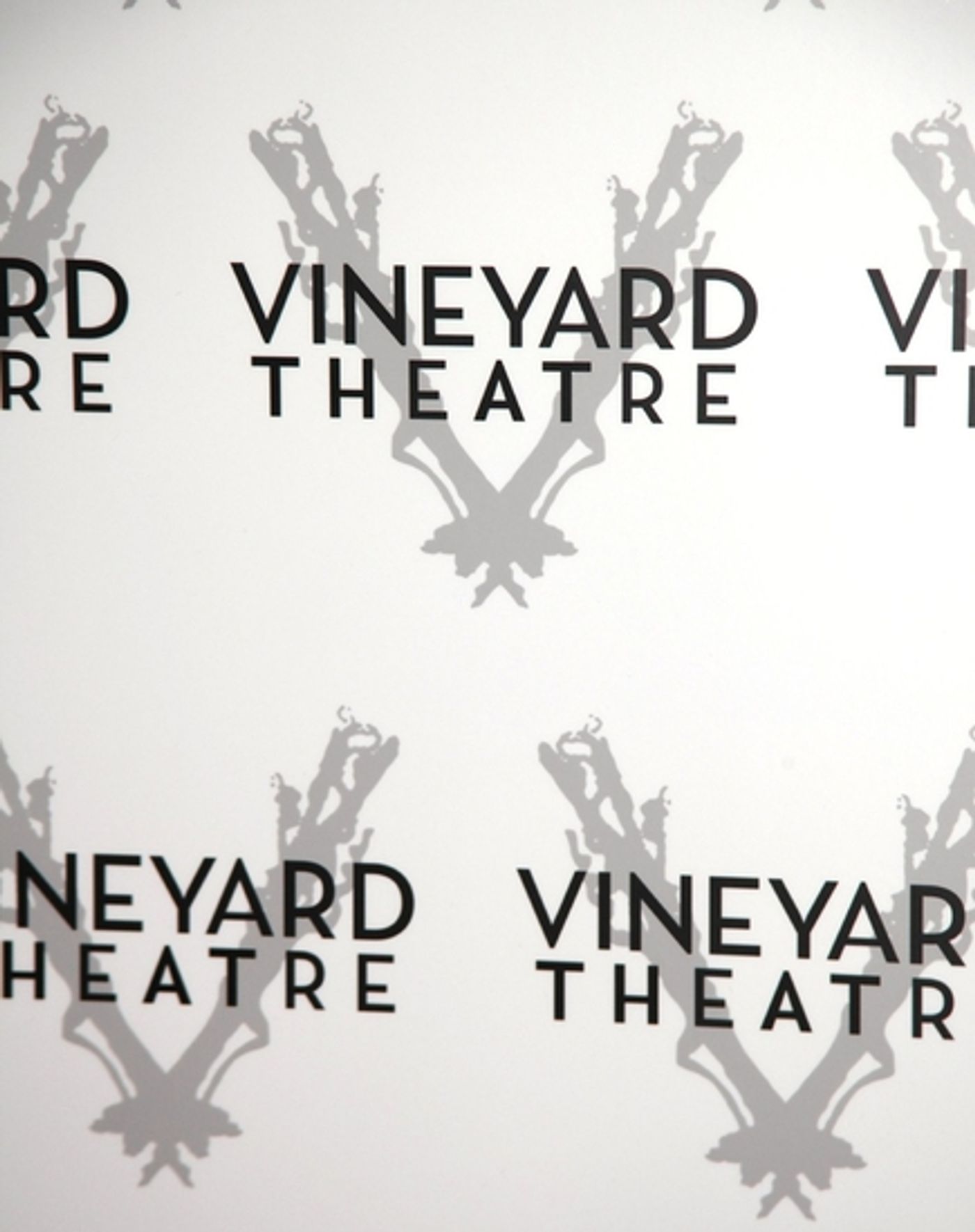 Photo Coverage: The Vineyard Theatre Honors Marian Seldes Photo Coverage: The Vineyard Theatre Honors Marian Seldes Image