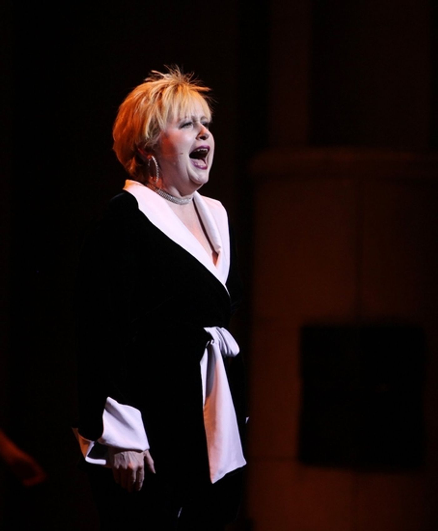 Photo Coverage: BROADWAY BACKWARDS 4 - Performance Part Two  Image