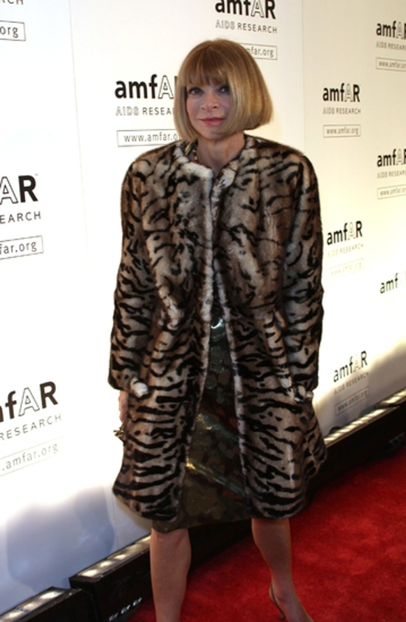 Photo Coverage: The 2009 amfAR Honors  Image