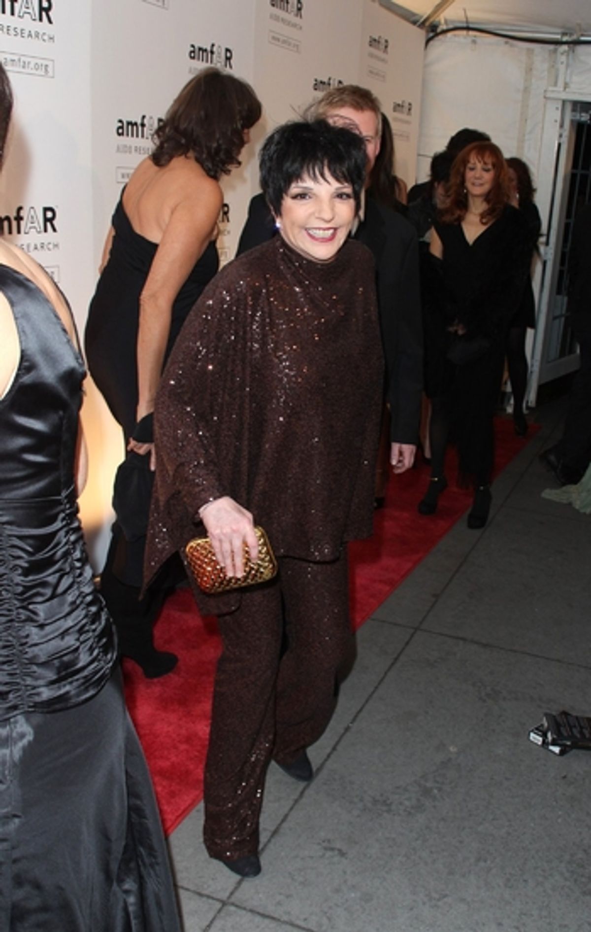 Liza Minnelli at The 2009 amfAR Honors