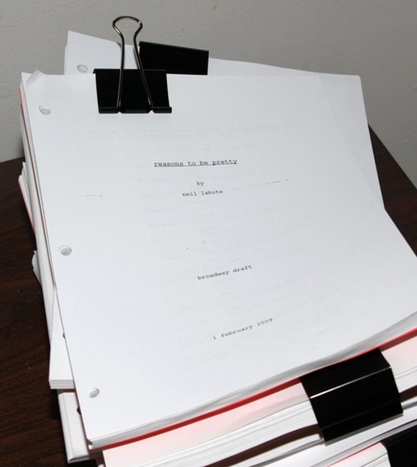 Photo Coverage: MCC Theater's 'reasons to be pretty' Meets The Press  Image