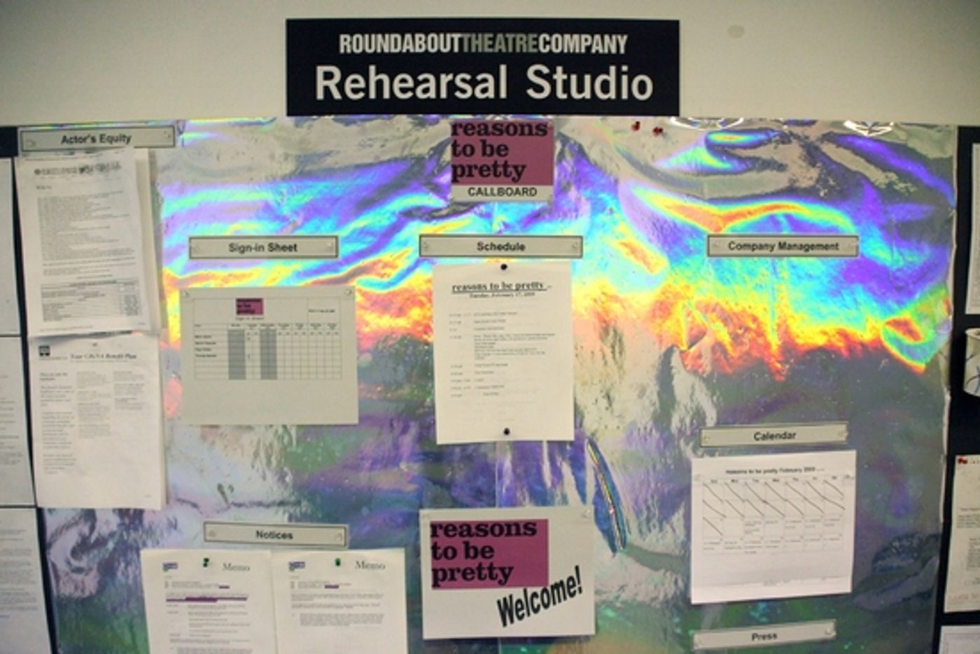 Photo Coverage: MCC Theater's 'reasons to be pretty' Meets The Press  Image