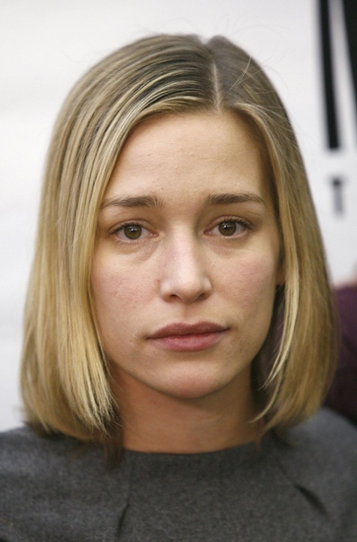 Photo Coverage: MCC Theater's 'reasons to be pretty' Meets The Press  Image