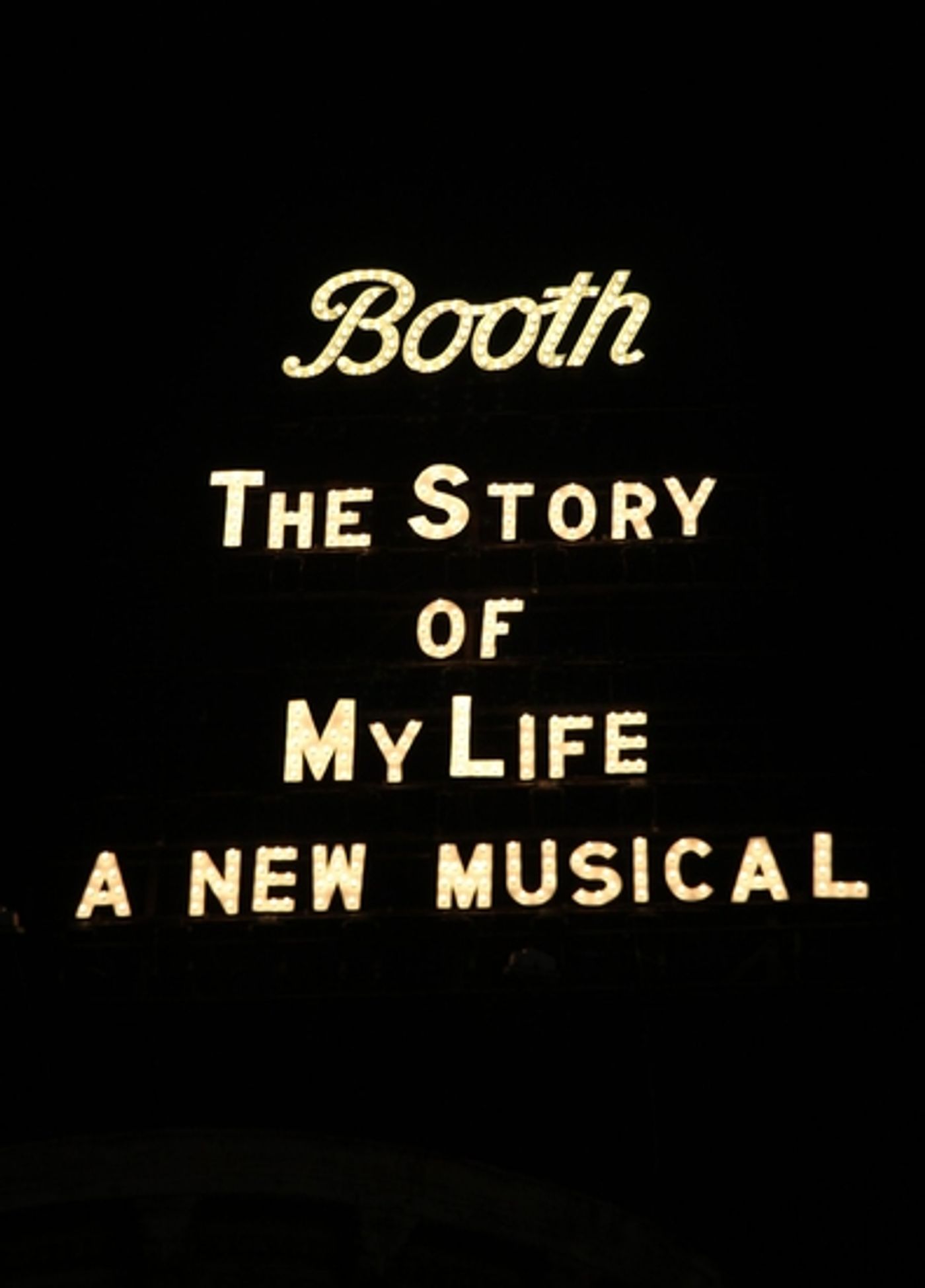 Photo Coverage: THE STORY OF MY LIFE - Arrivals  Image