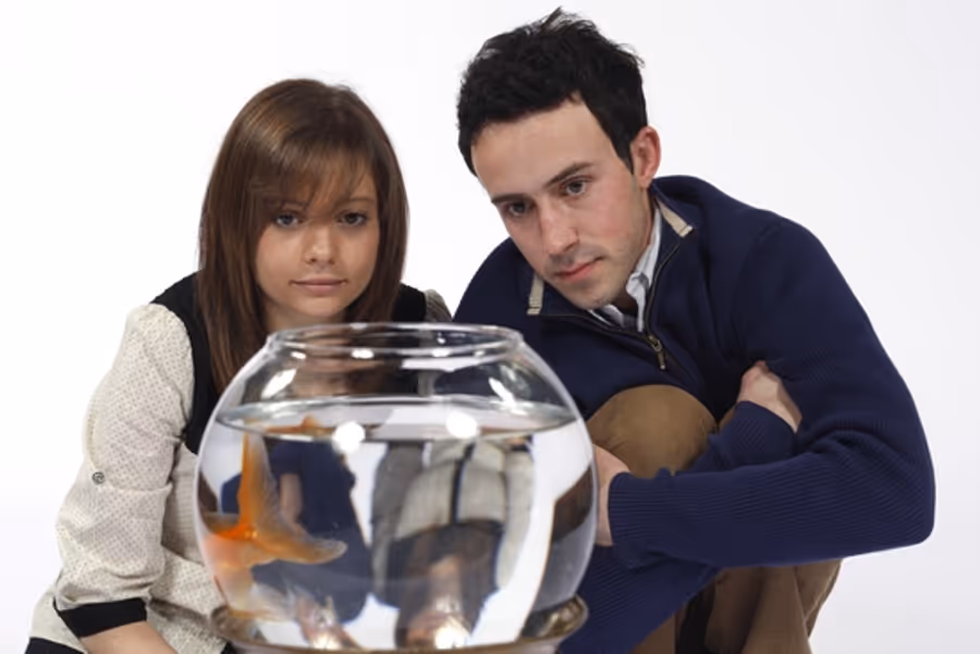 Photo Flash: GOLDFISH At SCR Image