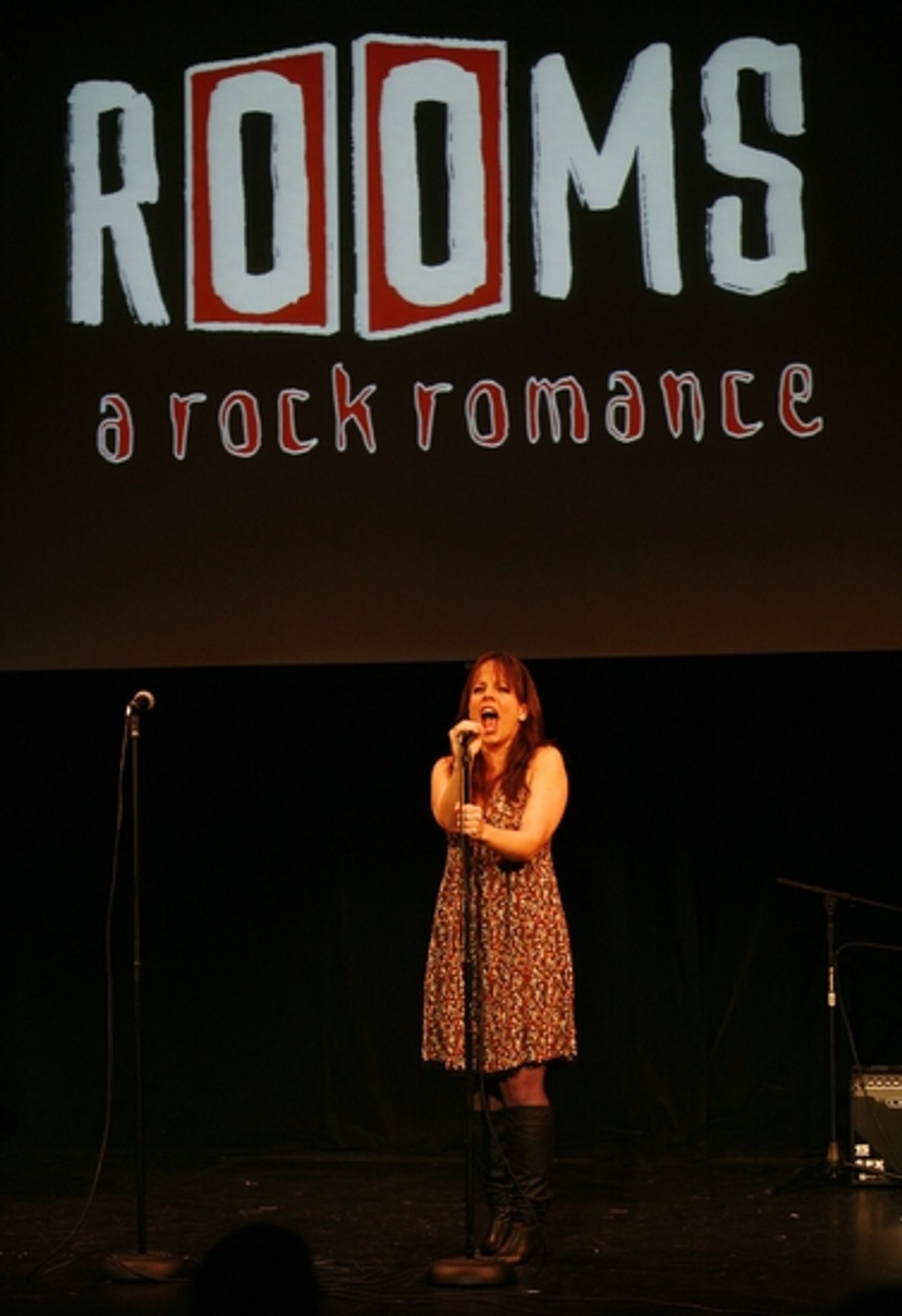 Photo Coverage: 'ROOMS' Press Preview Concert  Image