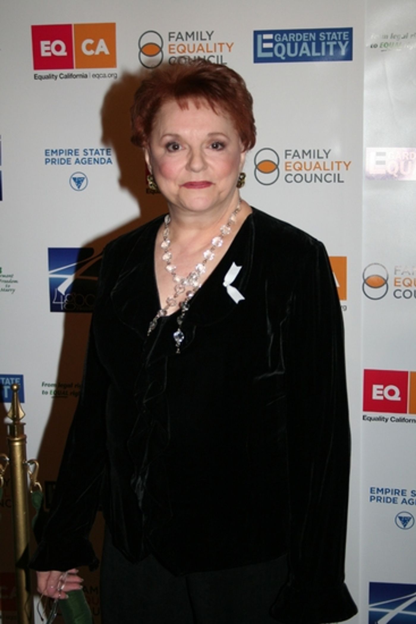 Photo Coverage: 'DEFYING INEQUALITY' The Benefit - Part Two  Image