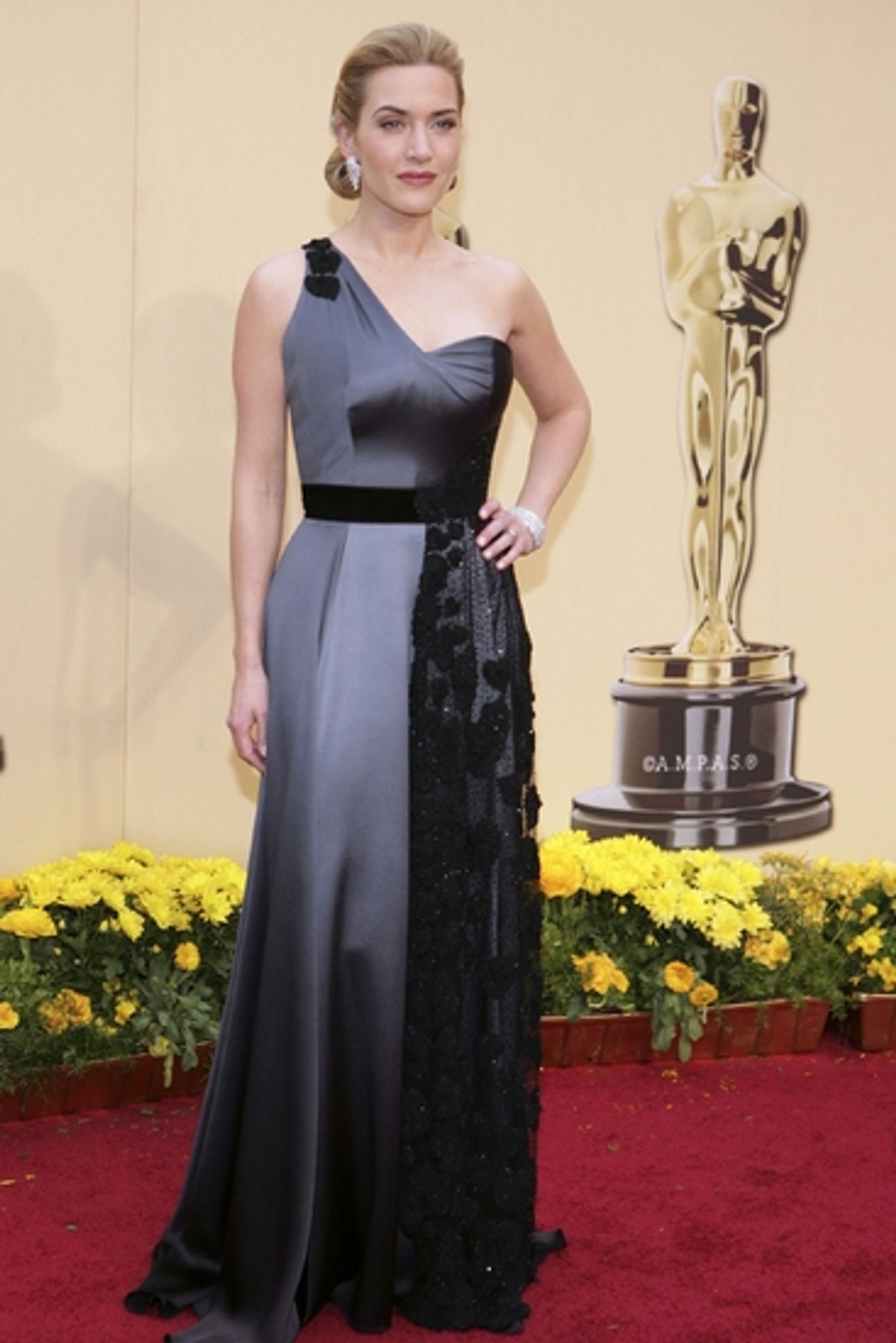 Photo Coverage: OSCARS 2009 - Full Length Fashion!  Image
