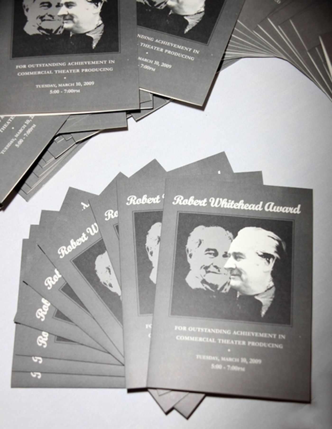 Photo Coverage: Dori Berinstein Receives CTI's Robert Whitehead Award Photo Coverage: Dori Berinstein Receives CTI's Robert Whitehead Award Image